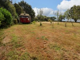 A bus parked on grass with trees in the background at Honey Bee Bus in Menheniot