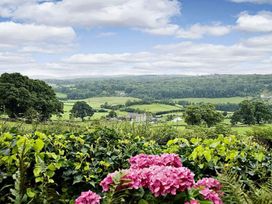 A scenic view of hills and flowers at High Beck in Kendal