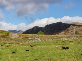 A field with sheep grazing and mountains in the background at 2 High Moss House Broughton-in-Furness