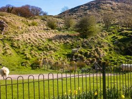 A hillside with sheep and a fence at an outdoor location