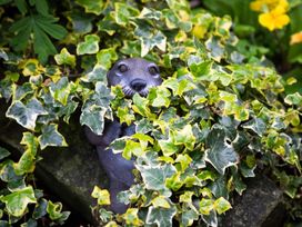 A statue of an otter partially hidden in ivy plants