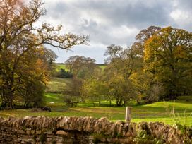 A landscape with trees and a stone wall in an outdoor setting at 