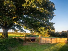 A garden with a wooden gate and a large tree at 