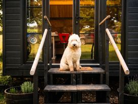 A dog sitting on steps in front of a door at the property