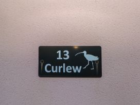 Curlew - South Wales - 14393 - thumbnail photo 2