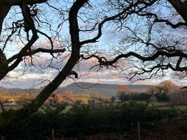 Treetops - Devon - 16749 - thumbnail photo 21