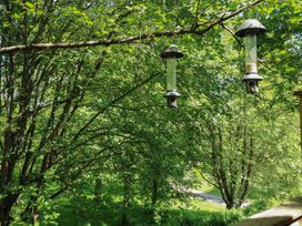 Treetops - Devon - 16749 - thumbnail photo 38