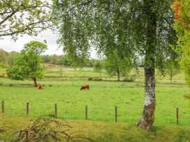 A green field with trees and cows behind a wire fence at The Four Oaks Chalet in Blaich near Fort William