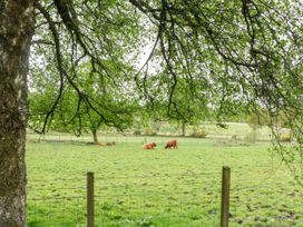 A fenced grassy field with trees and brown cows grazing at The Four Oaks Chalet in Blaich near Fort William