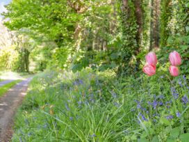 Bluebell Cottage - North Wales - 18573 - thumbnail photo 31