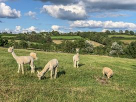 Potters Barn - South Wales - 21298 - thumbnail photo 23