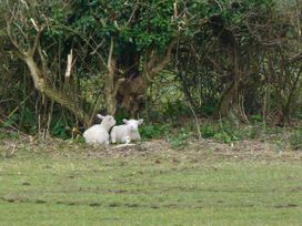 Stonewind Farm - Isle of Wight & Hampshire - 23533 - thumbnail photo 10