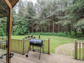 A wooden deck with a barbecue grill overlooking a grassy yard with a picnic table and trees at Birch Lodge in Rosliston
