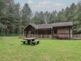 A wooden cabin with a picnic table on grass surrounded by trees at Birch Lodge in Rosliston