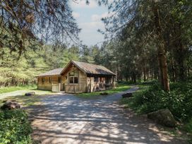 A wooden cabin surrounded by trees with a gravel driveway at Birch Lodge in Rosliston