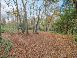Bluebell Lodge - North Yorkshire (incl. Whitby) - 24296 - thumbnail photo 22