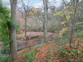 Bluebell Lodge - North Yorkshire (incl. Whitby) - 24296 - thumbnail photo 23