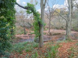 Bluebell Lodge - North Yorkshire (incl. Whitby) - 24296 - thumbnail photo 24