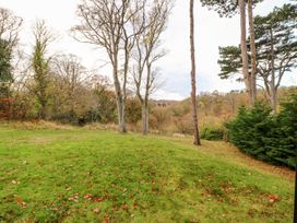 A grassy area with scattered leaves and tall trees in a wooded landscape at Violet Lodge in Saltburn-by-the-Sea