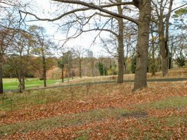 A wooded parkland area with leaf-covered ground and tall trees at Violet Lodge in Saltburn-by-the-Sea