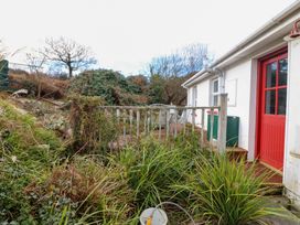 A garden view with plants and a door at Herons Cove Cottage Ballydehop