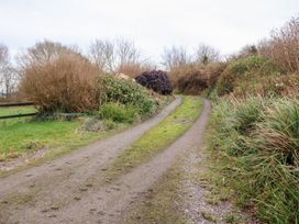 A gravel path with bushes and trees at Herons Cove Cottage Ballydehop