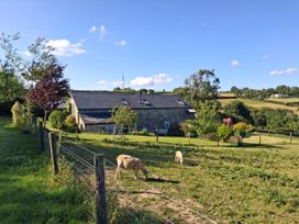 A house in a field with a dog grazing at Woodstone Barn Whitchurch near Tavistock