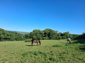 Two horses grazing in a field with trees and a blue sky at Woodstone Barn in Whitchurch near Tavistock