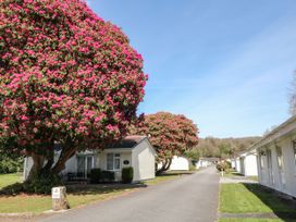 3 Rosecraddoc Lodge - Cornwall - 25265 - thumbnail photo 17