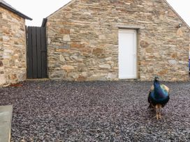 Garth Morthin The Stables - North Wales - 27053 - thumbnail photo 30