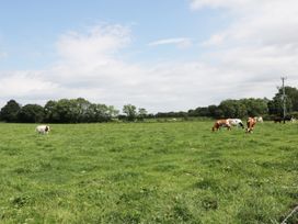 Piggery Cottage - Lake District - 28090 - thumbnail photo 18