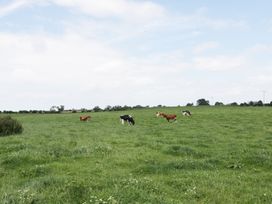 Piggery Cottage - Lake District - 28090 - thumbnail photo 19