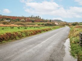 A road with grassy fields and houses at Lough Cluhir Cottage Union Hall County Cork