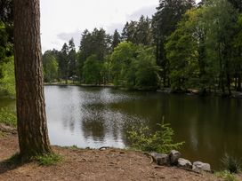 The Forest Coach House - Cotswolds - 29885 - thumbnail photo 25