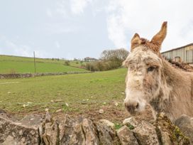 Bluebird Cottage - Peak District - 3517 - thumbnail photo 17