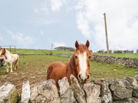 Bluebird Cottage - Peak District - 3517 - thumbnail photo 19