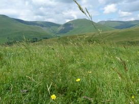 Bramble Cottage - Lake District - 3802 - thumbnail photo 16