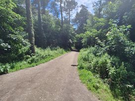 A path surrounded by trees and bushes at 19 River Glen Curracloe, County Wexford