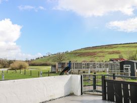 A peacock standing near a fence with a hill in the background at Meadow View in Laugharne