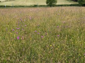 Hiraeth - Mid Wales - 4455 - thumbnail photo 18