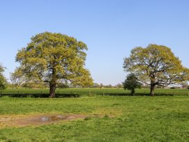 A green field with two large trees under a blue sky at 2 Pines Farm Cottages in Ulleskelf
