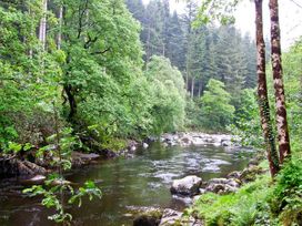 Bryn Cemlyn - North Wales - 4588 - thumbnail photo 12