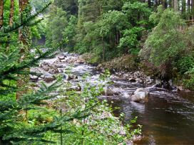 Bryn Cemlyn - North Wales - 4588 - thumbnail photo 13