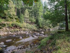 Bryn Cemlyn - North Wales - 4588 - thumbnail photo 42