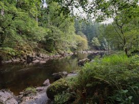 Bryn Cemlyn - North Wales - 4588 - thumbnail photo 43