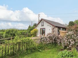 Dolphin Bach - North Wales - 5074 - thumbnail photo 3