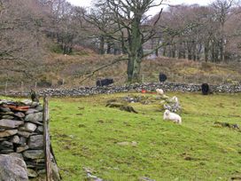 Y Bwthyn - North Wales - 5228 - thumbnail photo 10