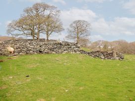 A stone wall with trees behind it and a sheep standing near a wooden gate on grass at Y Bwthyn in Llanbedr near Harlech