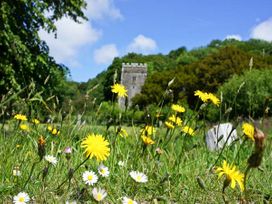 Y Cwtch - South Wales - 6164 - thumbnail photo 31