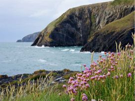 Y Cwtch - South Wales - 6164 - thumbnail photo 32